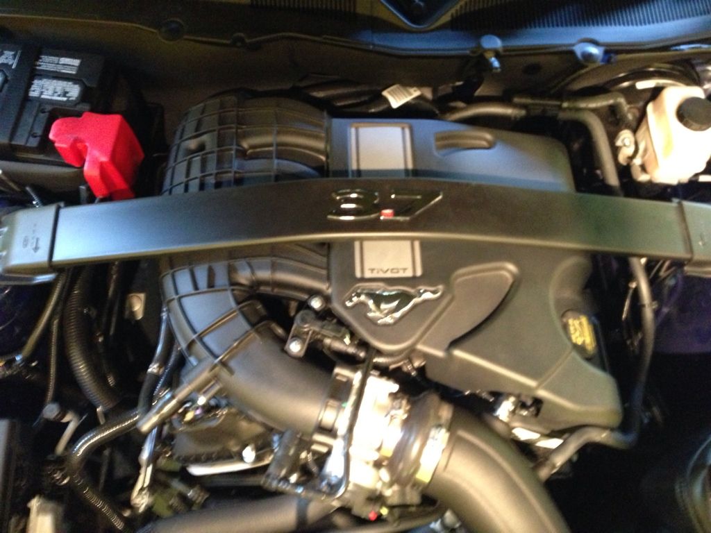 New Engine Bay! | Ford Mustang Forum
